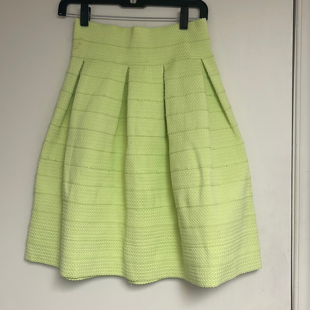 NWOT New York and Company beautiful pleated skirt 
size extra small